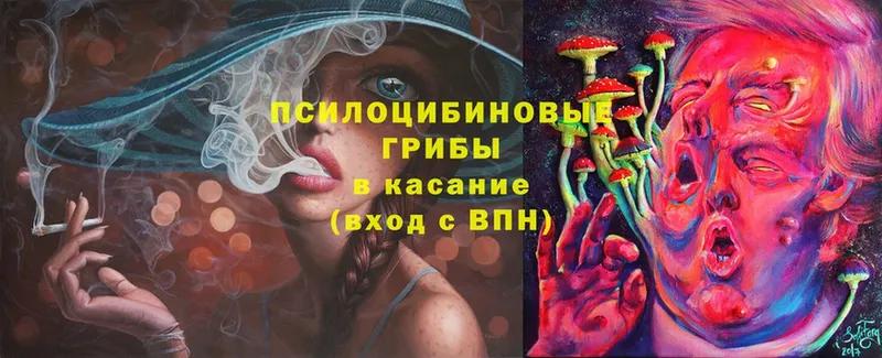 Псилоцибиновые грибы MAGIC MUSHROOMS  закладки  Мосальск 